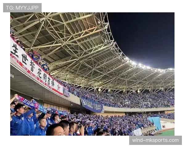 申花主场球迷爆满，热情助威助力球队强势回暖