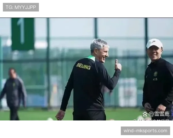 布赖斯高骄傲：德甲新赛季强势崛起，球队稳步提升备受瞩目