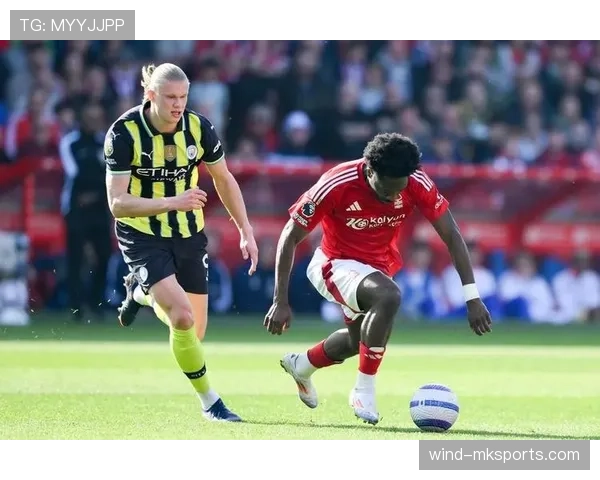 布莱顿状态火热，强势冲击英超欧战席位